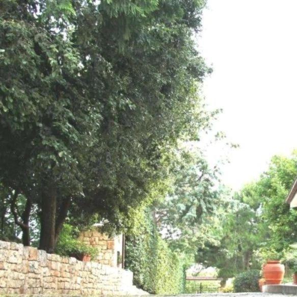 Casa Marisa Villa Vacanza Castellana Grotte Dış mekan fotoğraf