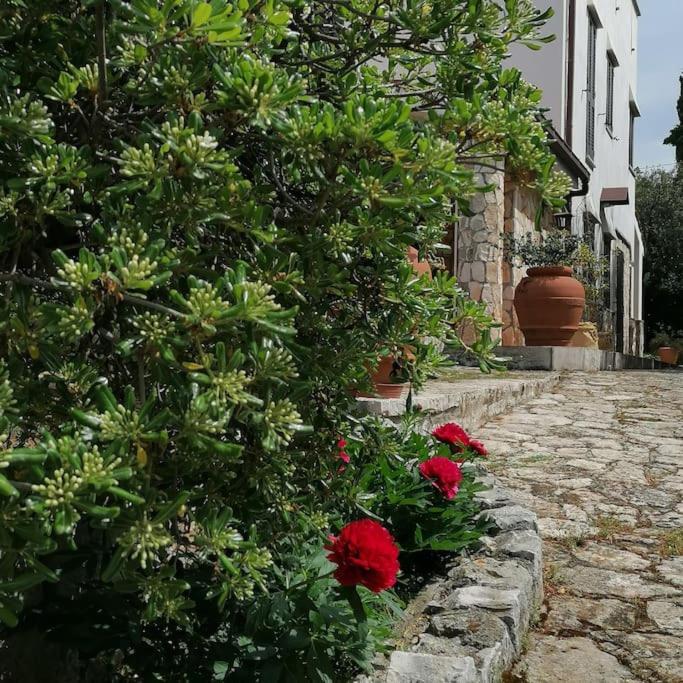 Casa Marisa Villa Vacanza Castellana Grotte Dış mekan fotoğraf