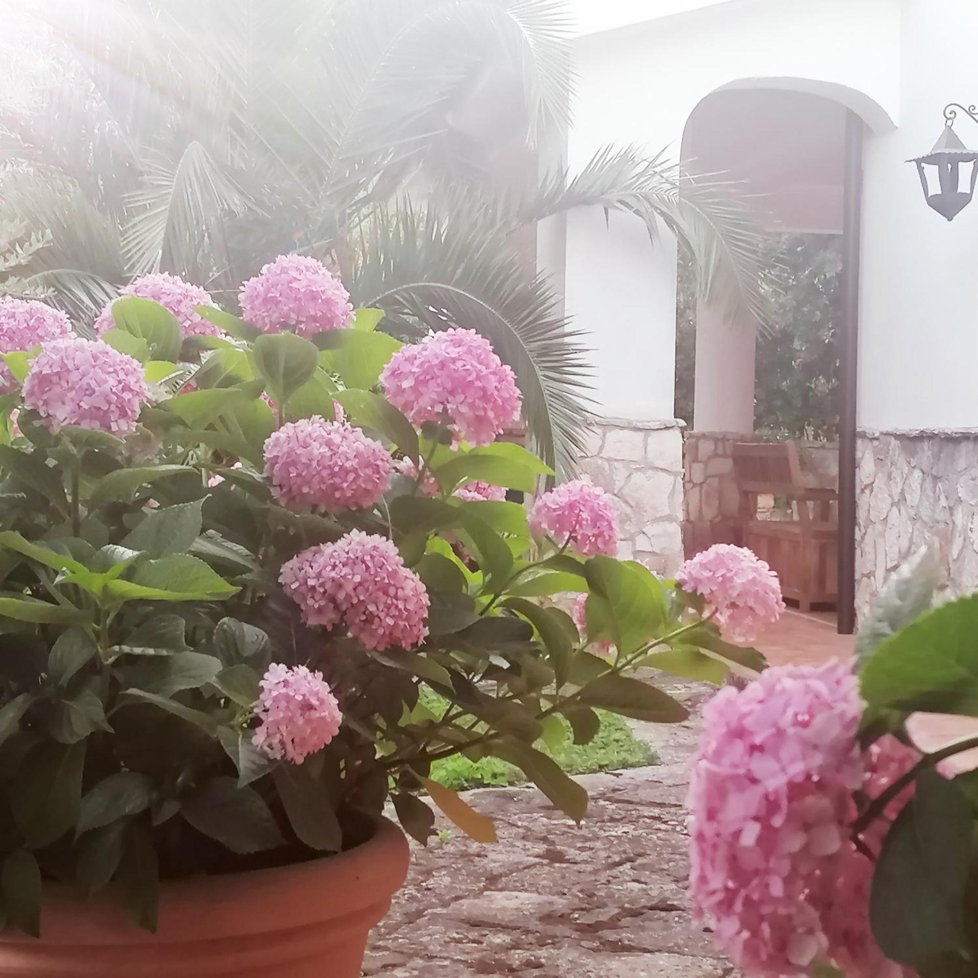 Casa Marisa Villa Vacanza Castellana Grotte Dış mekan fotoğraf