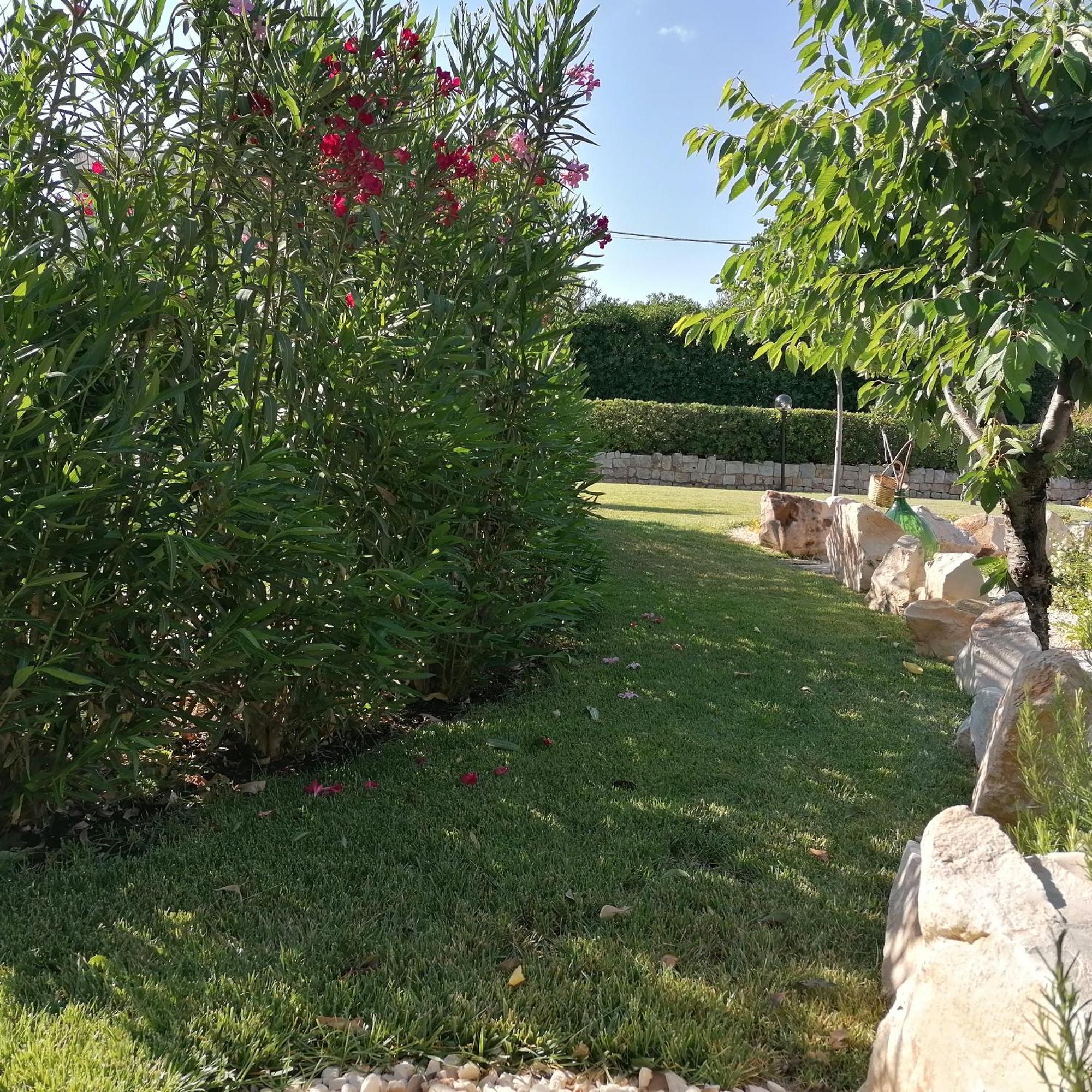 Casa Marisa Villa Vacanza Castellana Grotte Dış mekan fotoğraf