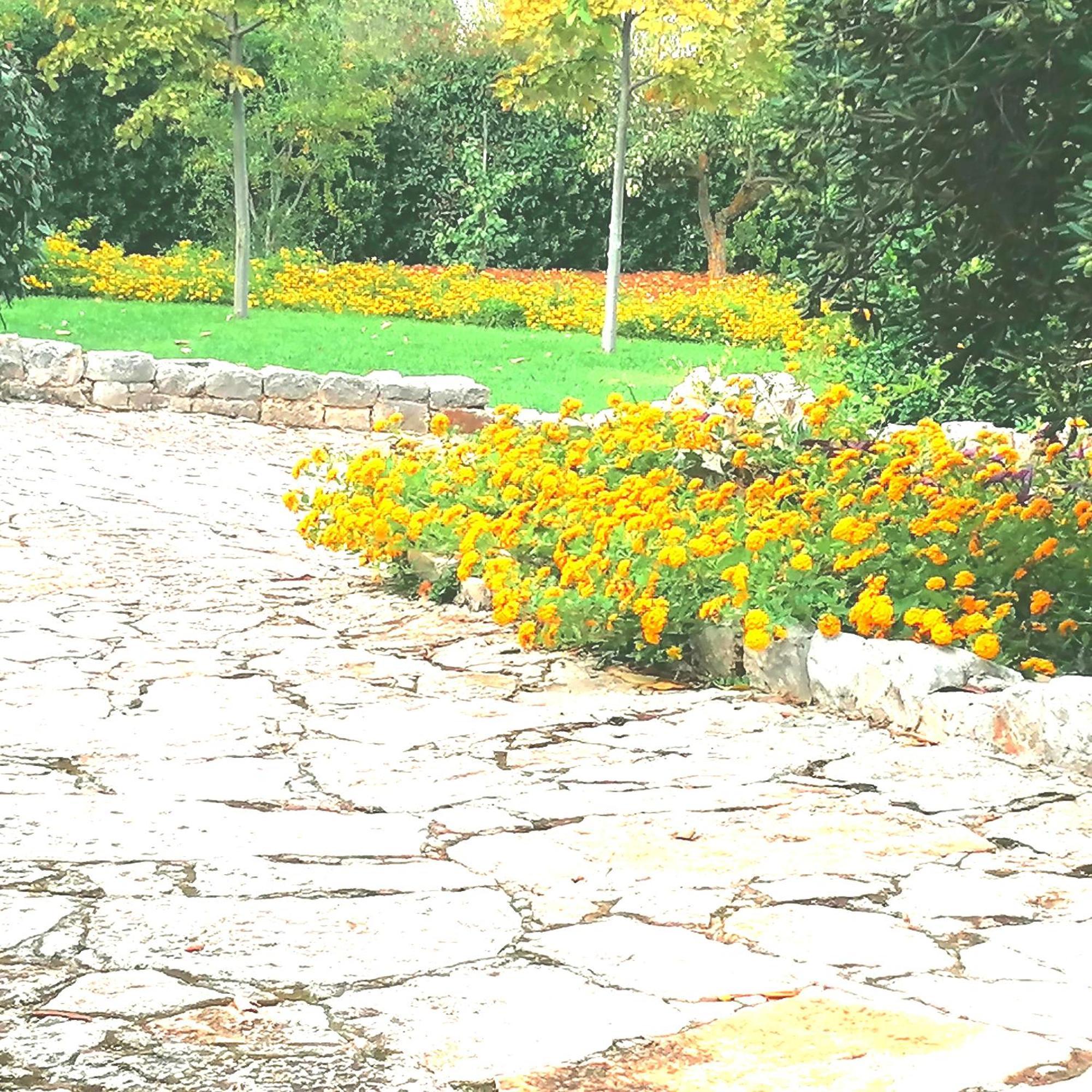 Casa Marisa Villa Vacanza Castellana Grotte Dış mekan fotoğraf
