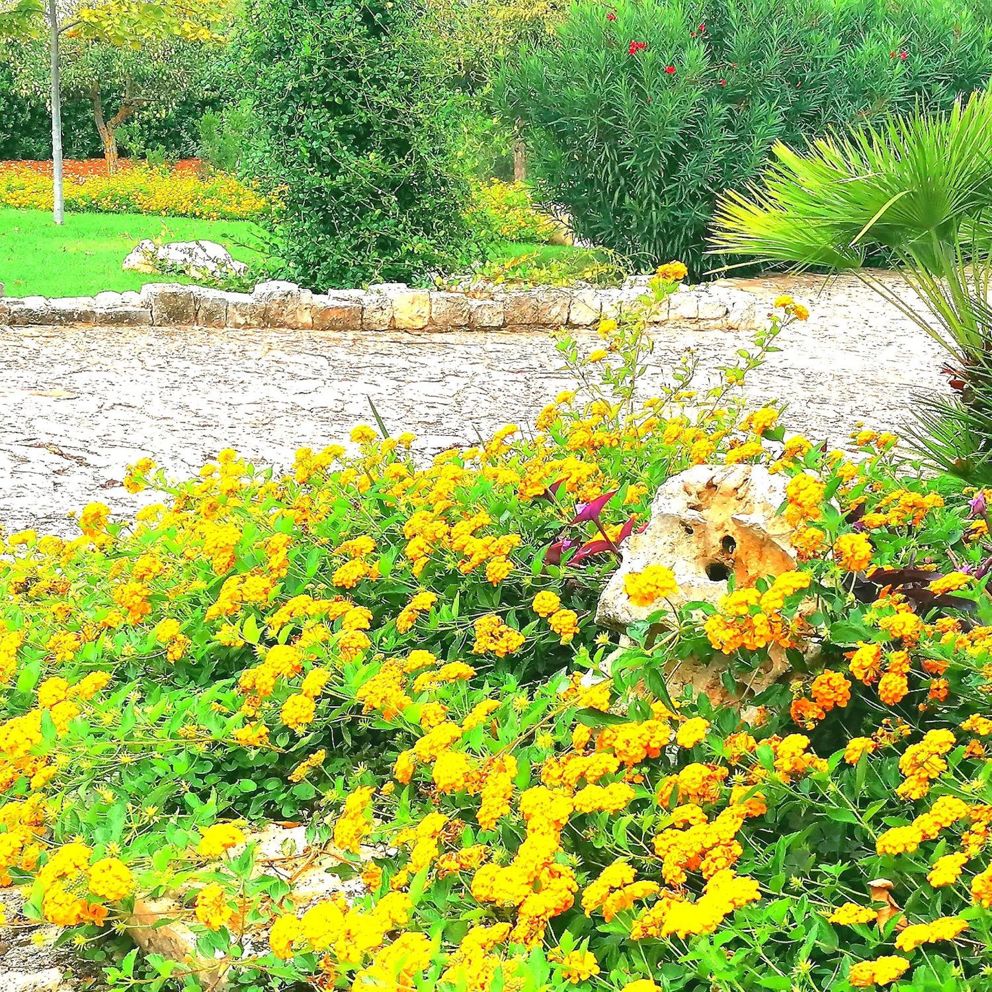 Casa Marisa Villa Vacanza Castellana Grotte Dış mekan fotoğraf